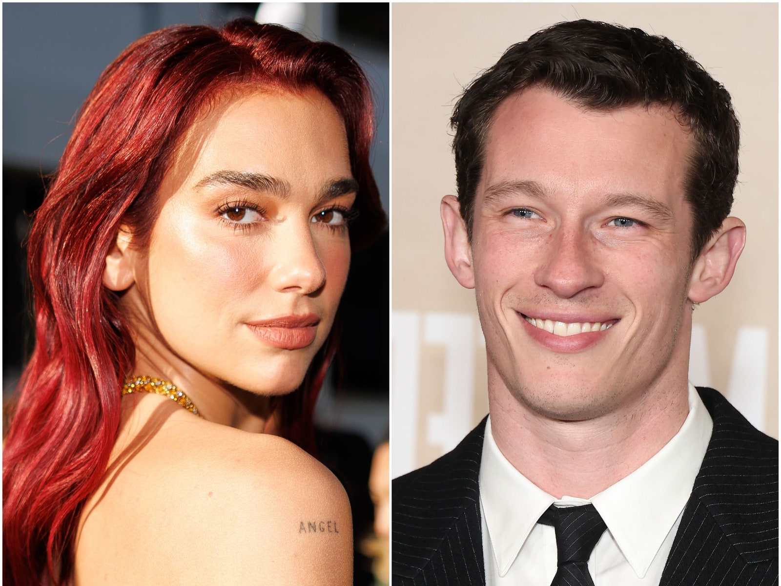 A Complete Timeline of Dua Lipa and Callum Turner's Alleged Relationship